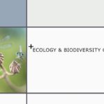 SGP-Biodiversity-Leaflet-v1-2023_Page_01-scaled