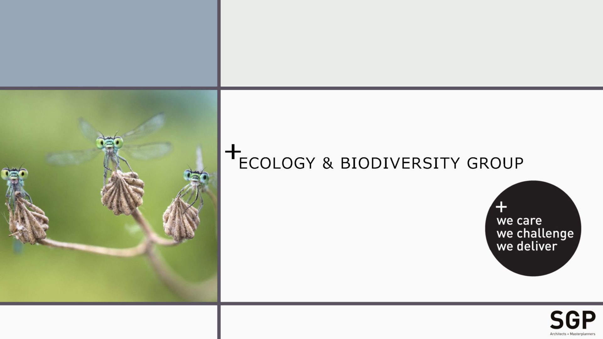 SGP-Biodiversity-Leaflet-v1-2023_Page_01-scaled